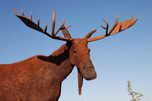 Image of "Bull Moose" sculpture by Jim Dolan