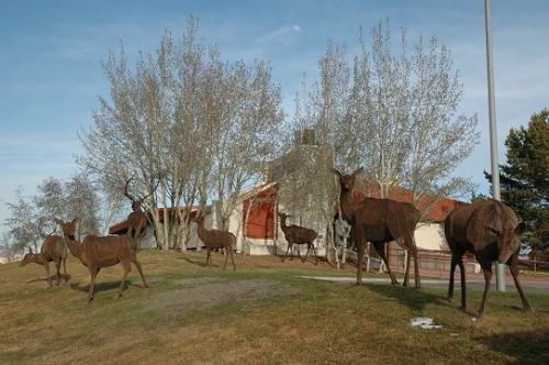 Image of "Elk Herd" sculpture by Jim Dolan